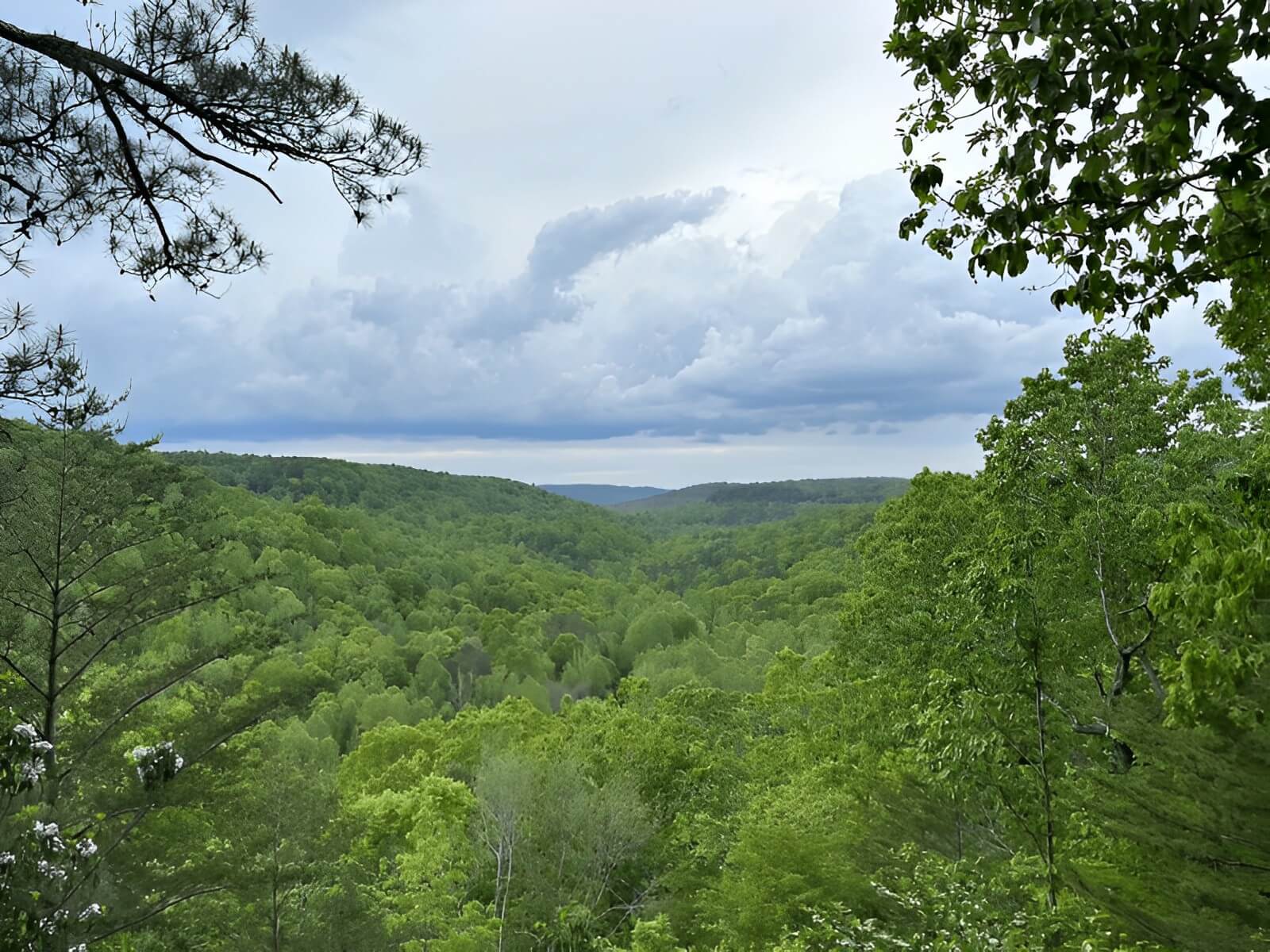 Tuscumbia RV Park