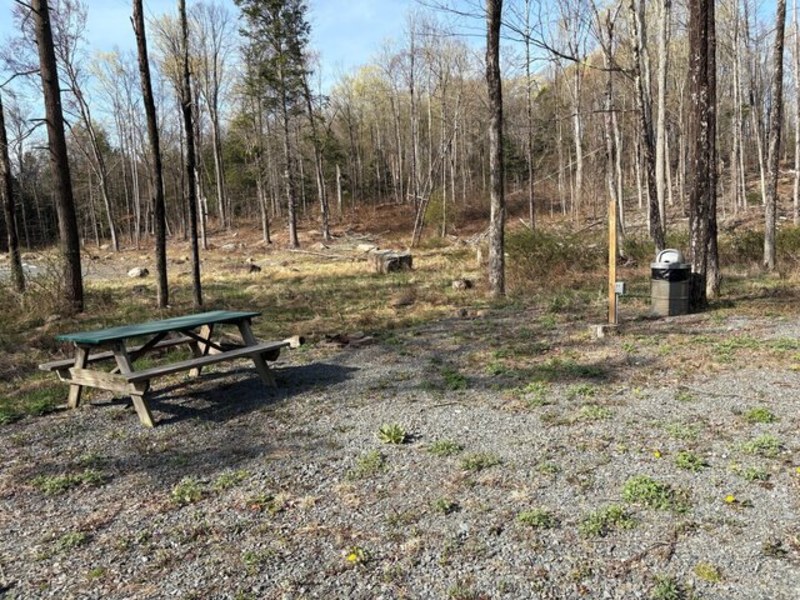 Wake in the Woods Aquapark & Campground