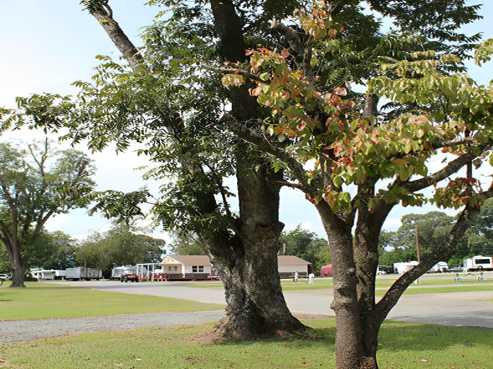 Crossroads Travel RV Park