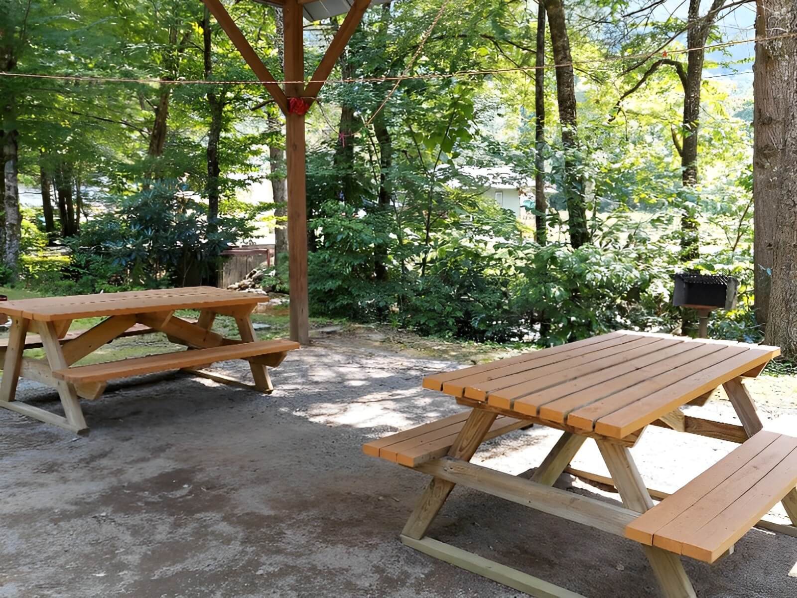 Black Bear Resort