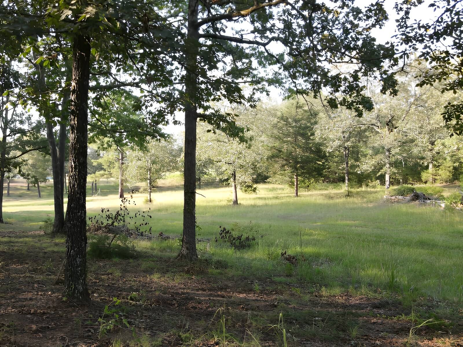 Rollin Oaks Park