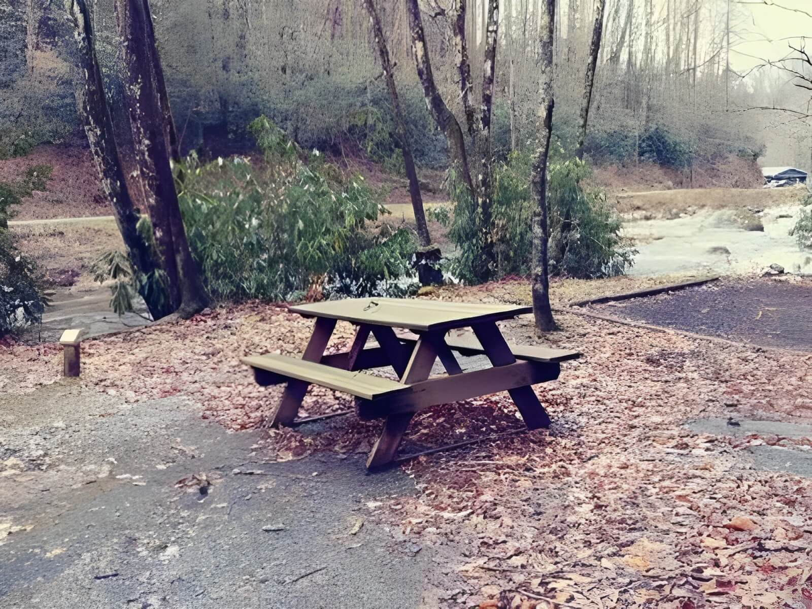 Black Bear Resort