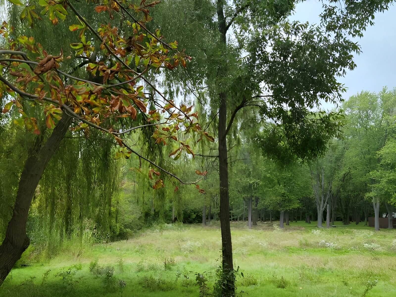 Camp Sabroske