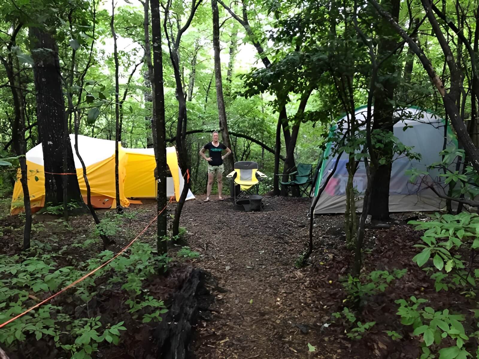 Ash Grove Mountain Cabins and Camping