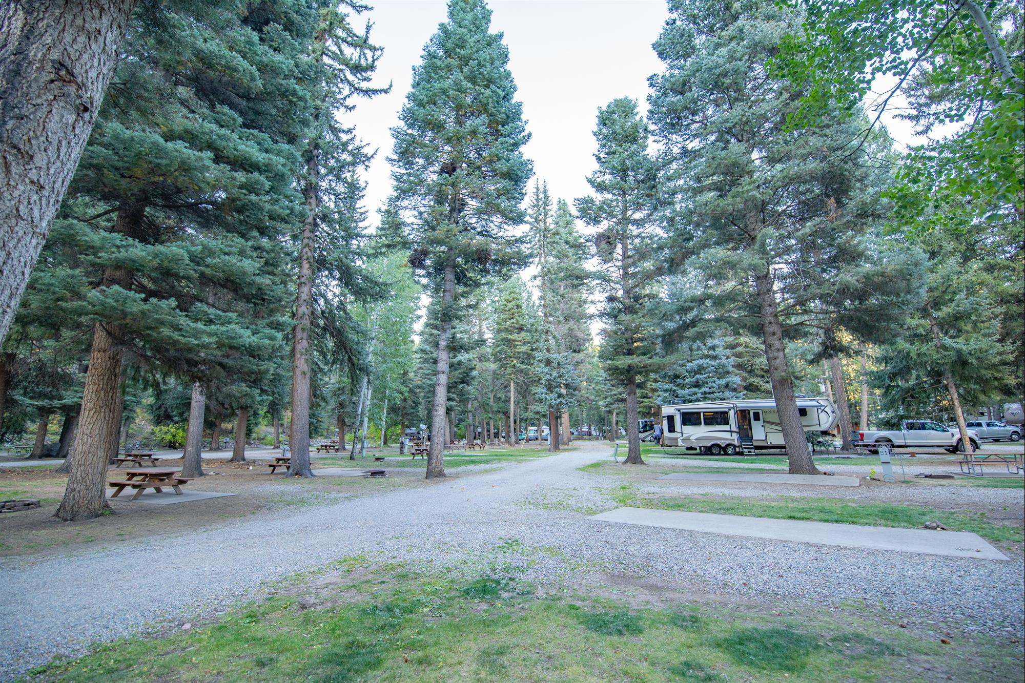 Blue Spruce RV Park