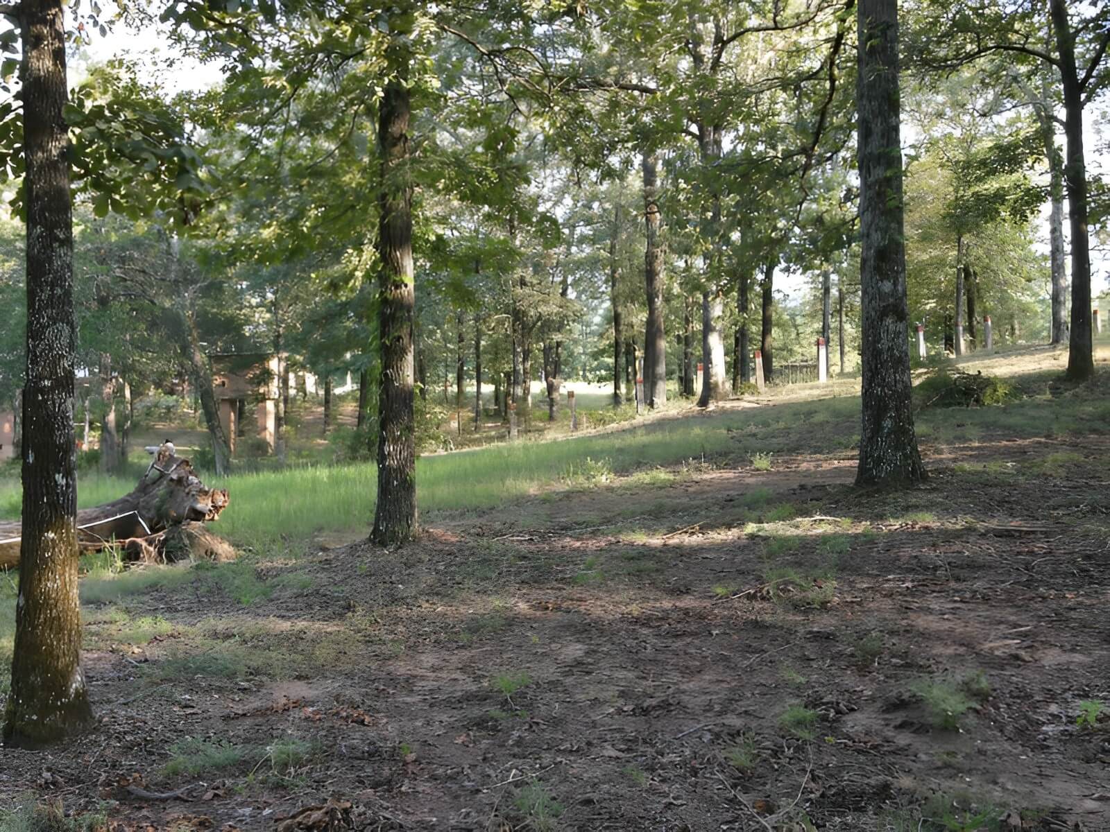 Rollin Oaks Park