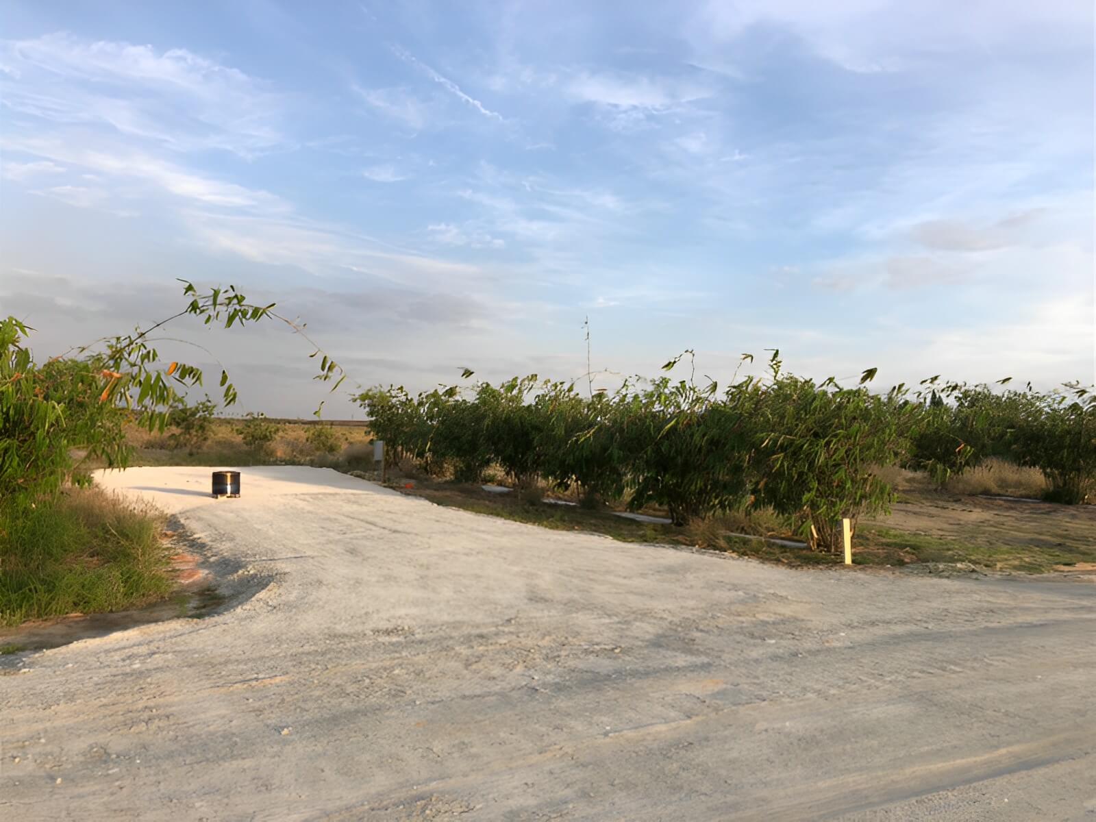 Joy Bamboo Forest Farm