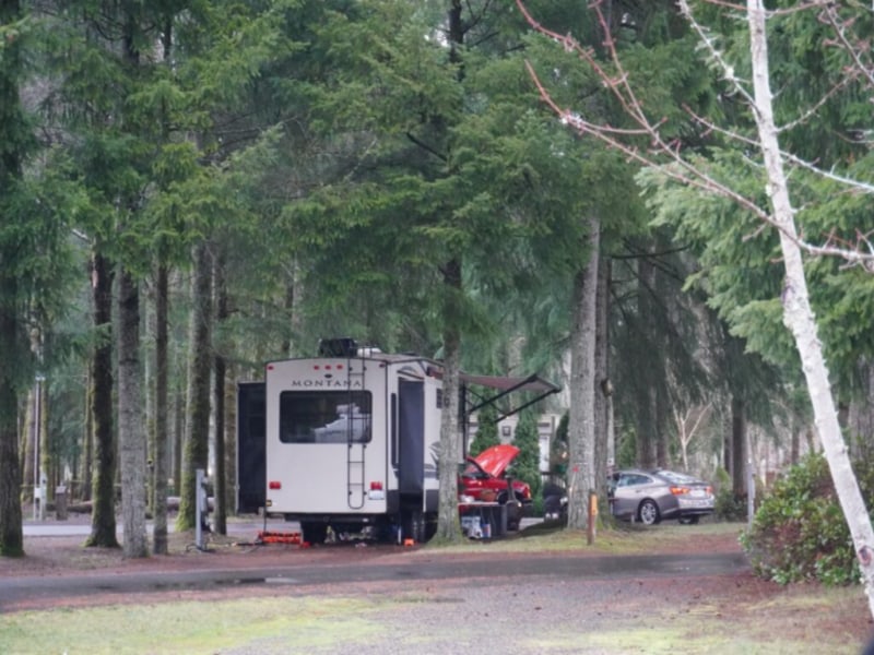 Toutle River RV Resort
