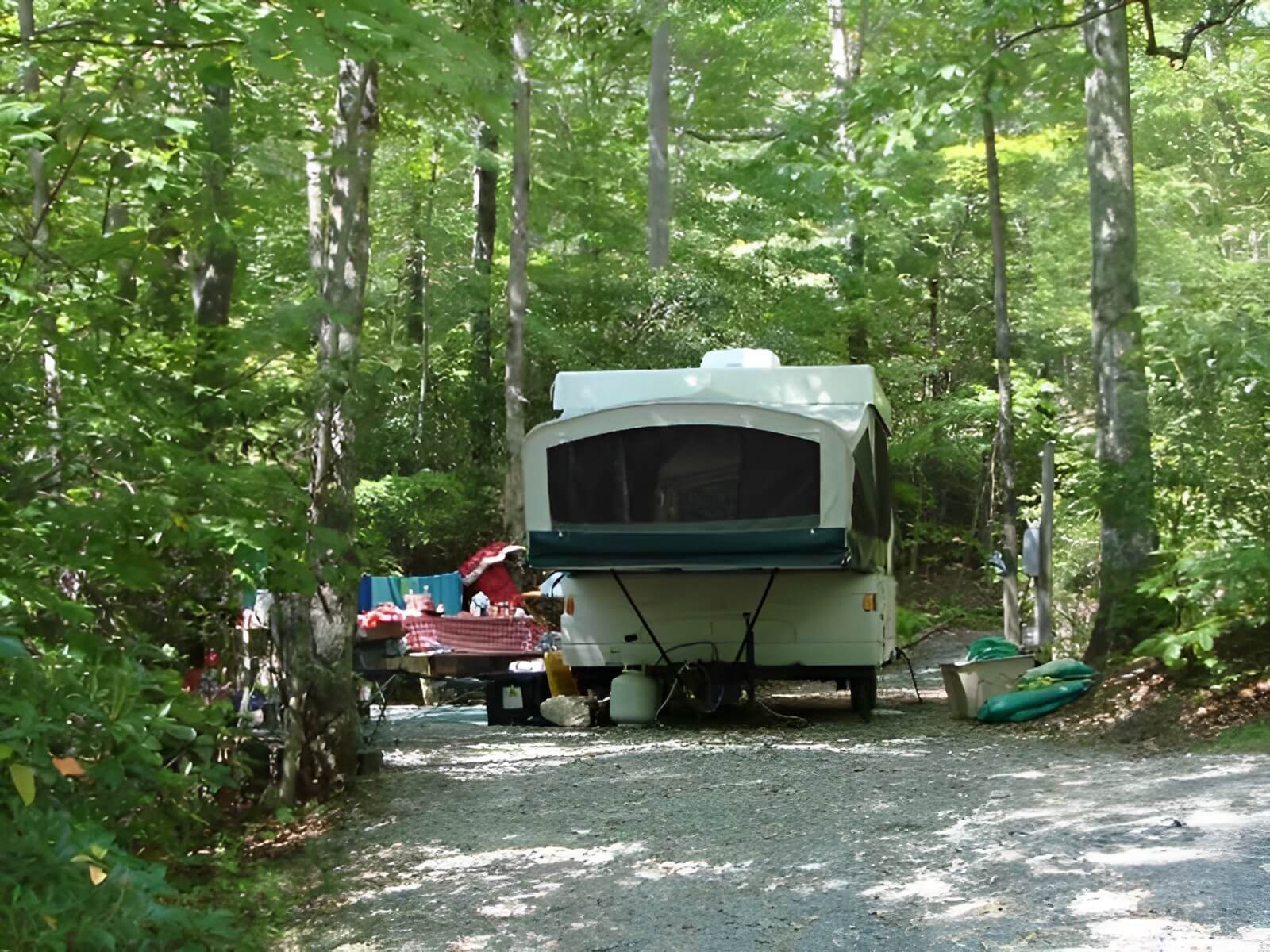 Ash Grove Mountain Cabins and Camping