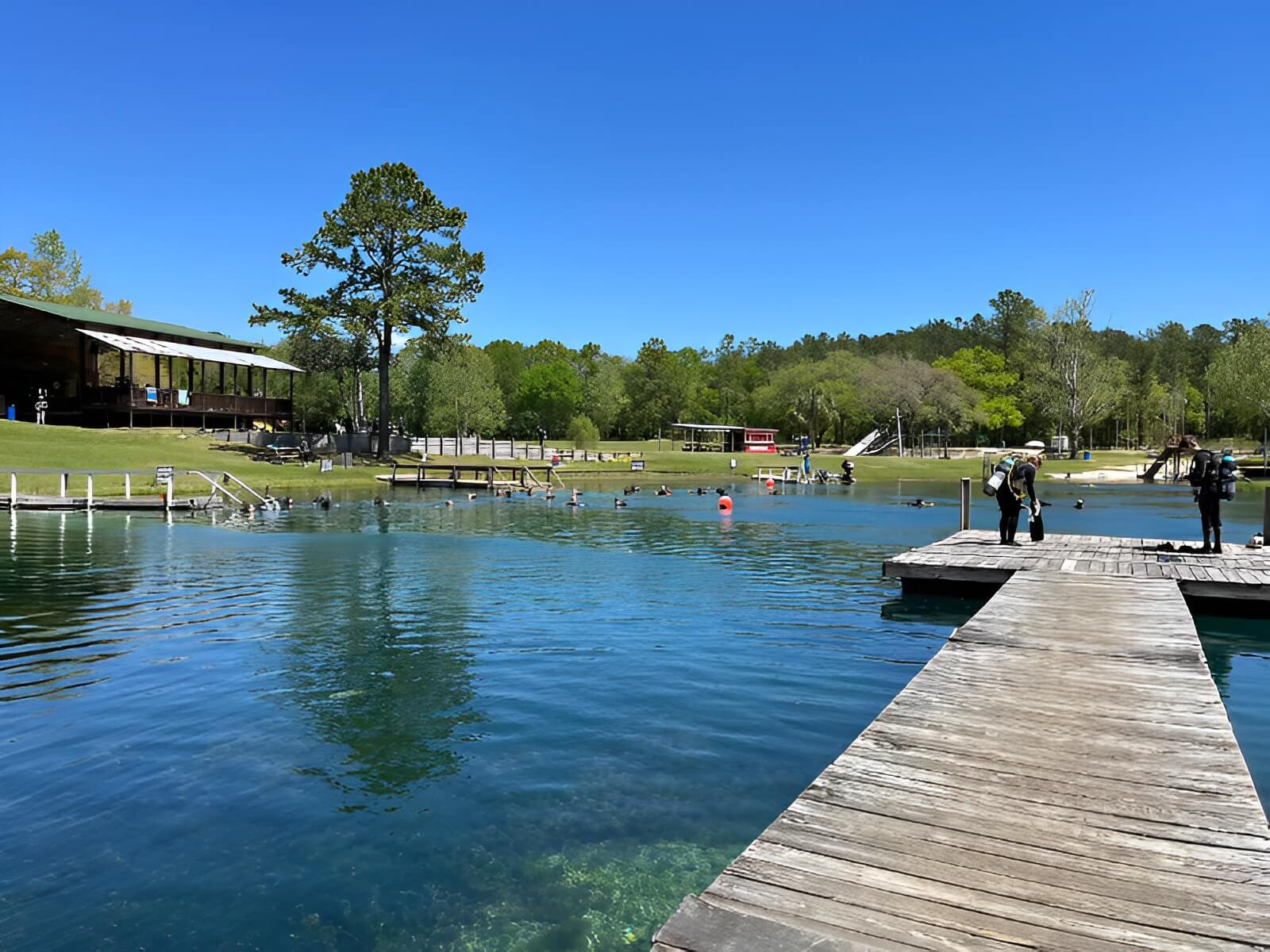 Vortex Spring Adventures