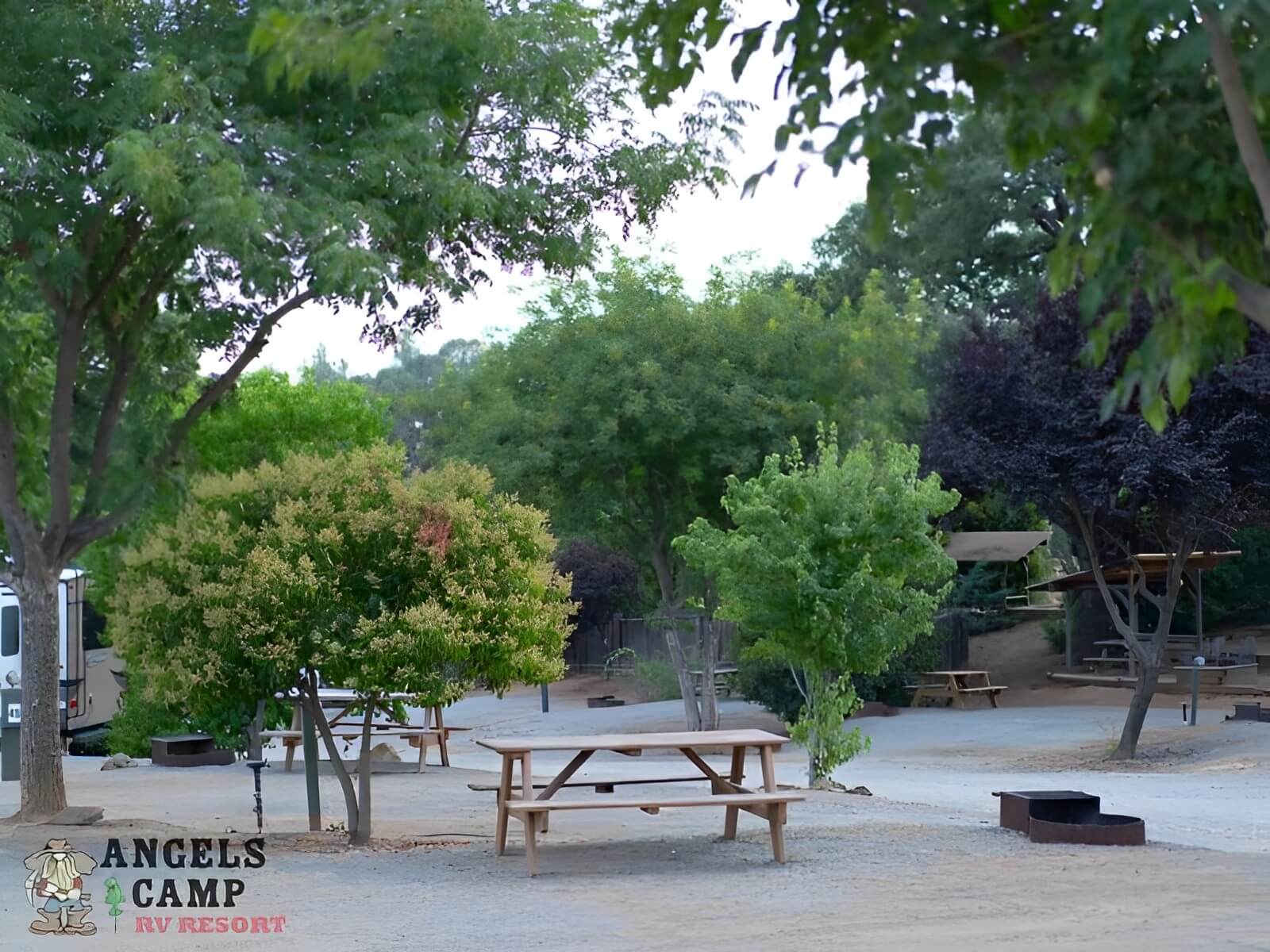 Angels Camp RV Resort 