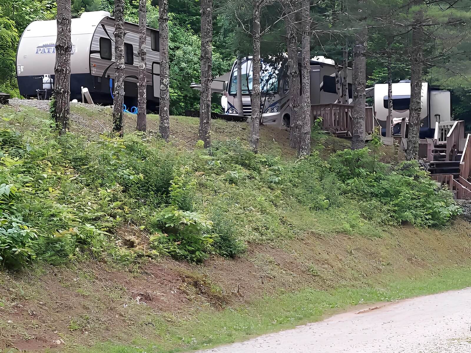 Black Bear Resort