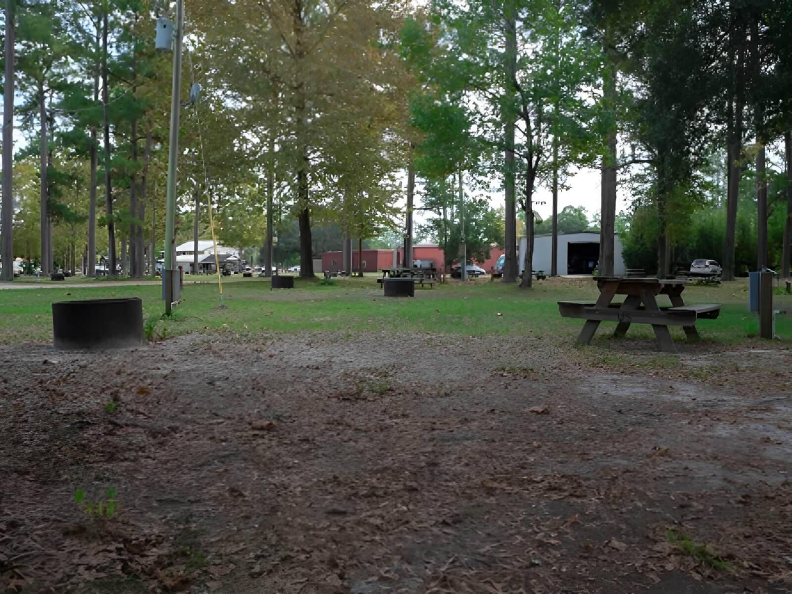 Vortex Spring Adventures