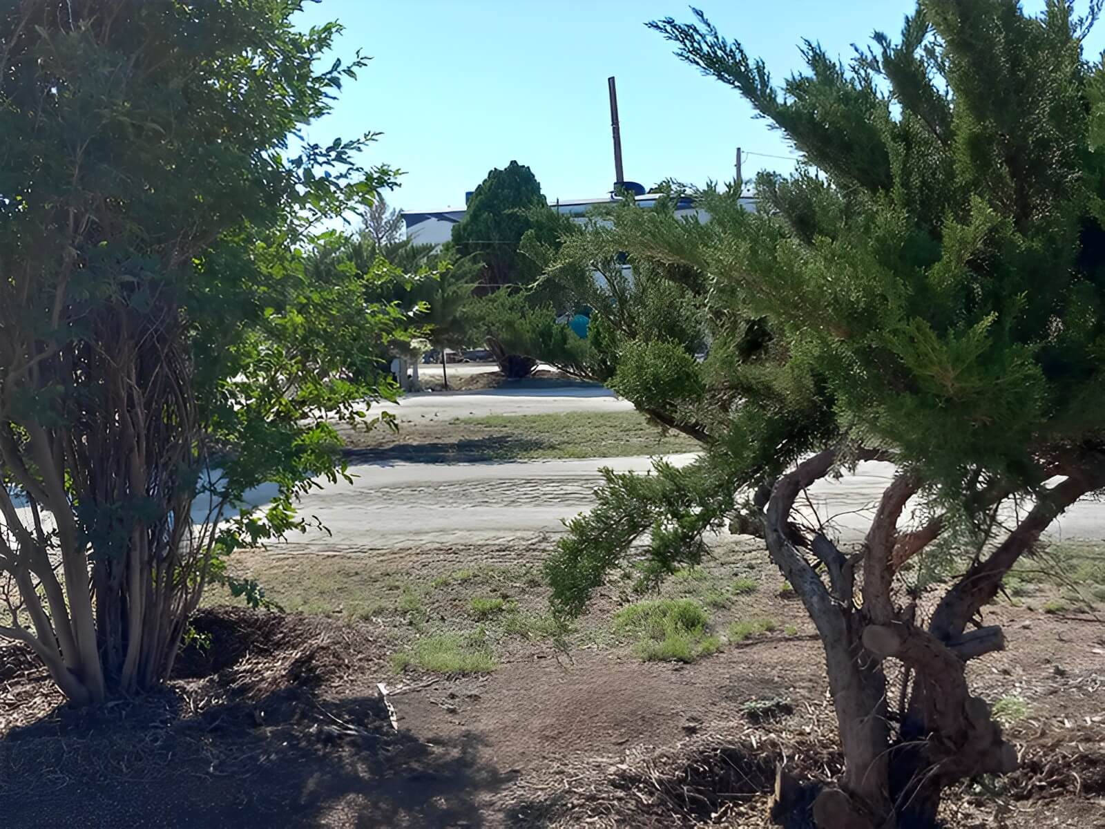 Weeping Willow RV Park