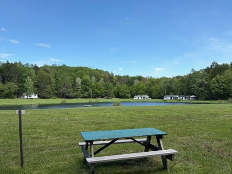 Wake in the Woods Aquapark & Campground