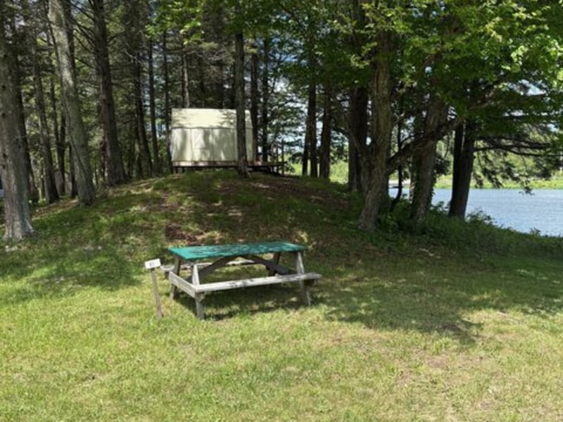 Wake in the Woods Aquapark & Campground