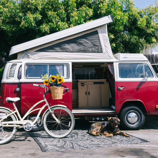 1978 Volkswagen Westfalia Class B available for rent in Costa Mesa, California