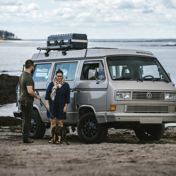 1991 Volkswagen T3 Westfalia Class B available for rent in Montréal, Quebec