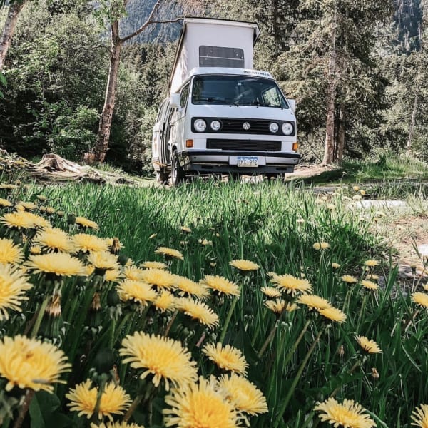 1991 Volkswagen Weekender Class B available for rent in Anchorage, Alaska