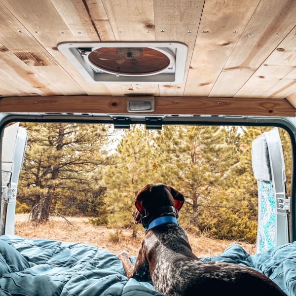2020 Ram Promaster Class B available for rent in Denver, Colorado