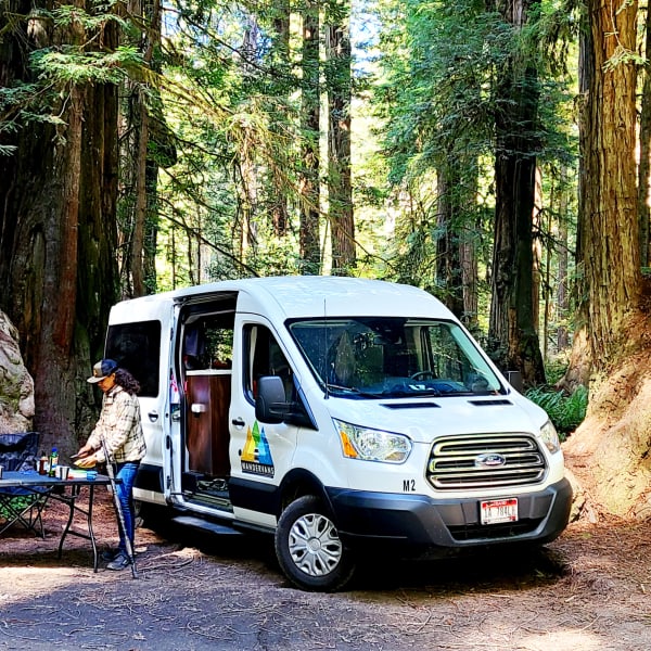 2016 Ford Van Class B available for rent in Livermore, California