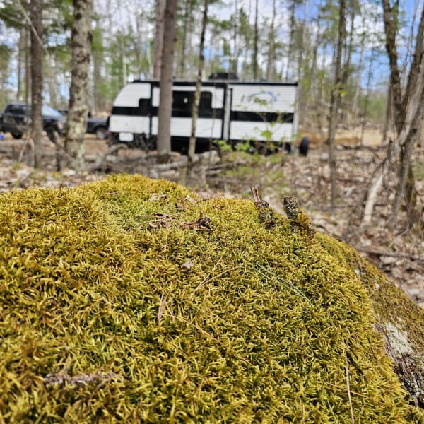2022 Heartland RVs Prowler Lynx Travel Trailer available for rent in Cloyne, Ontario