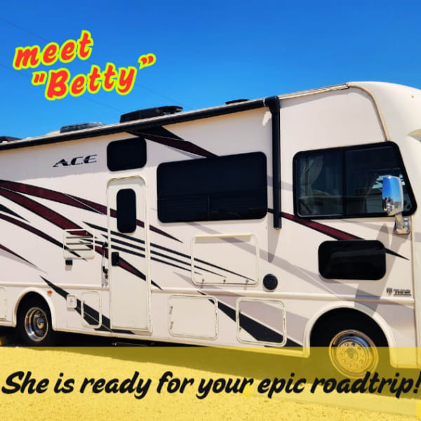 2018 Thor Motor Coach ACE Class A available for rent in New Braunfels, Texas