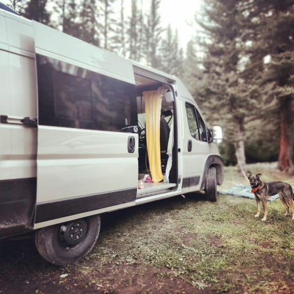 2024 Dave & Matt Vans Dave & Matt Vans Class B Class B available for rent in Colorado Springs, Colorado