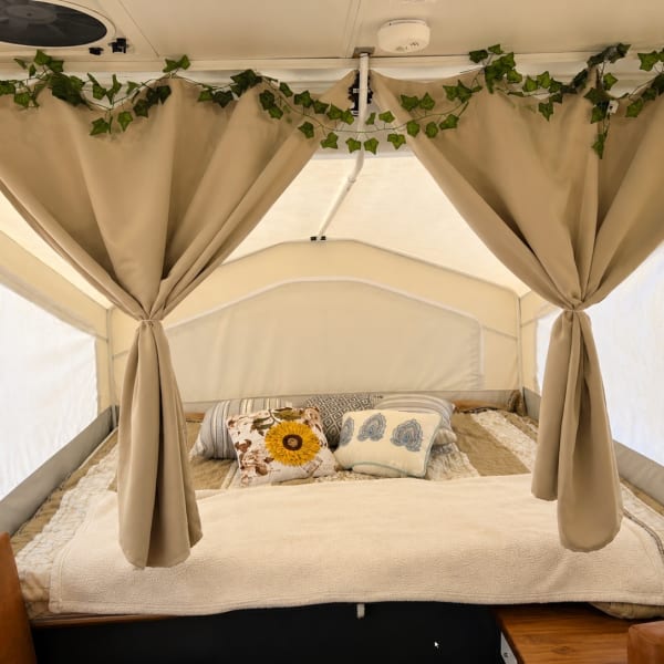 2014 Rockwood Freedom 231 Popup available for rent in Waterloo, Indiana