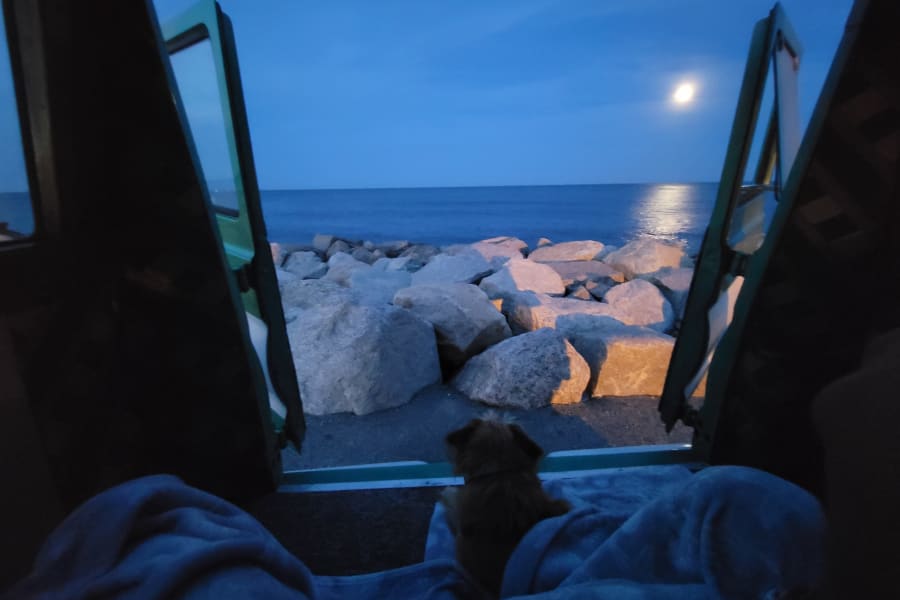 Cozy rv rental view: a dog watches the moonlit ocean and rocky shore from the open back.