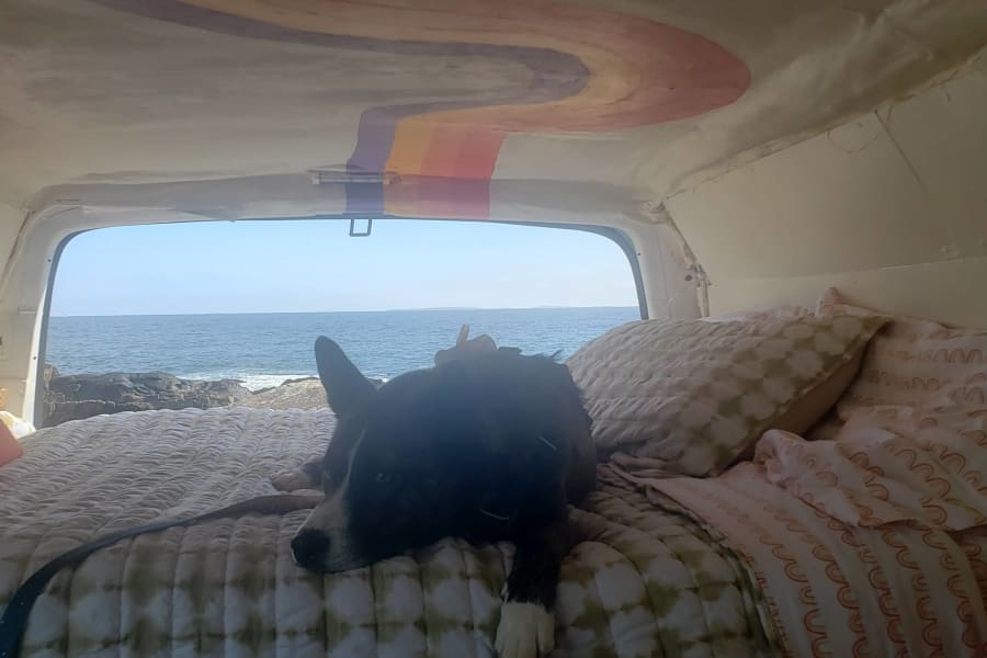 Dog friendly!