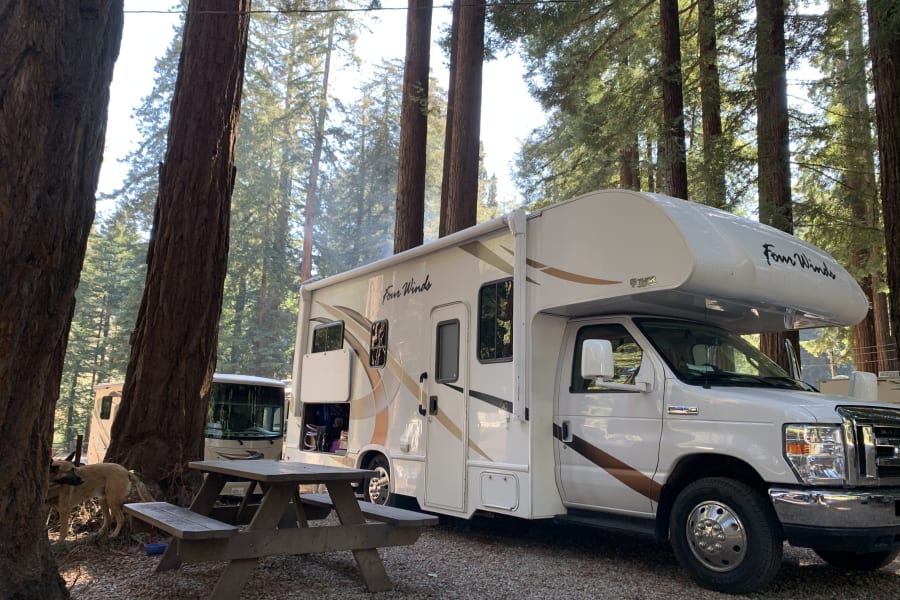 Experience nature with this rv rental parked amongst towering redwood trees. Features a picnic table and a dog enjoying the campground.