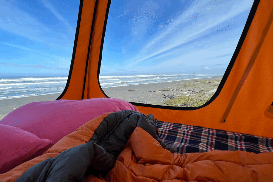 270 degree views up high
