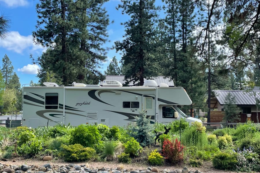 Experience nature with this Jayco Greyhawk RV rental, surrounded by vibrant plants & towering pines. Ideal for outdoor camping.
