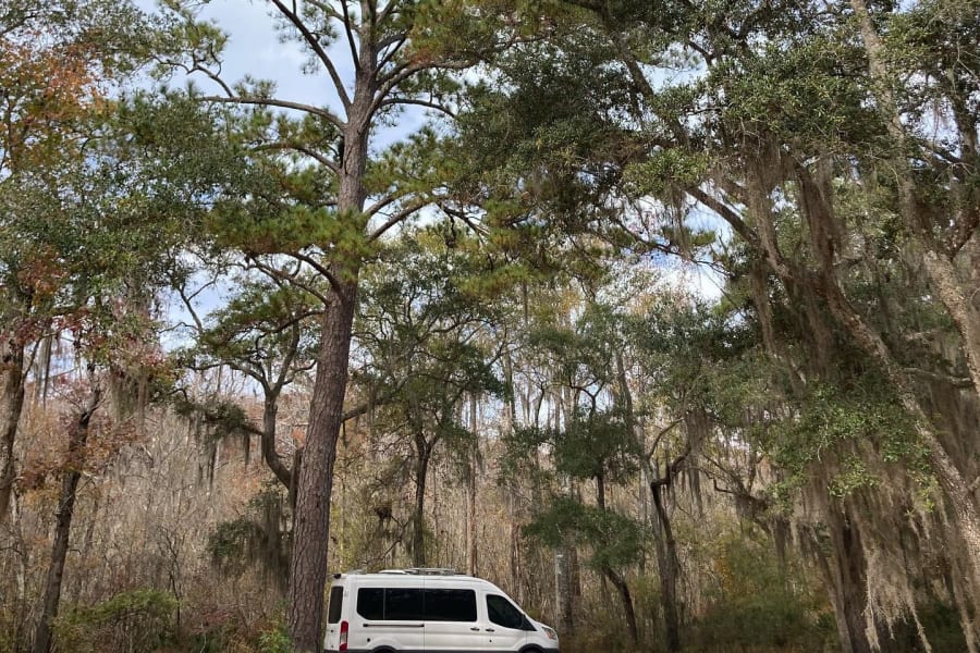 Take Vanny anywhere, like the gorgeous Georgia coastline