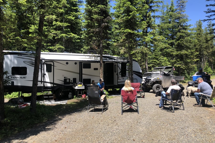 Enjoying an RV rental adventure: people, dogs, and an off-road vehicle at a sunny forest campsite.