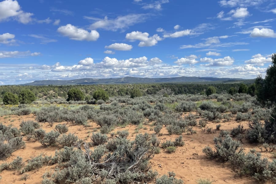 view from the camper