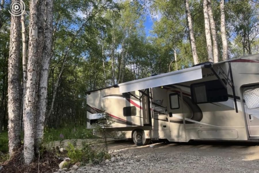 RV rental: A tan Class C motorhome with awning extended, parked on gravel in a lush birch forest campsite.