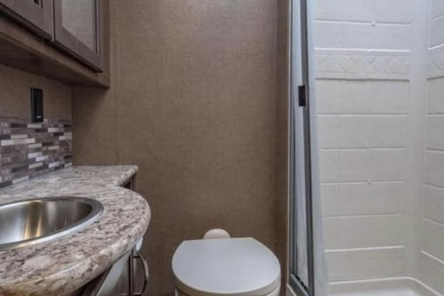 Compact RV rental bathroom featuring a sink, toilet on a raised platform, and a separate shower stall with glass door. Ideal for travel.