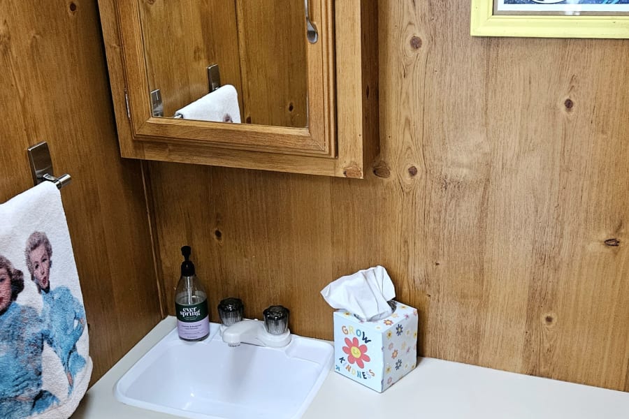 Compact RV rental bathroom featuring wood paneling, a sink, toilet paper, and Golden Girls towel.