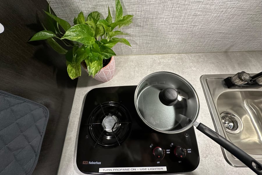 Compact RV rental kitchen area features a two-burner stove with a pot, sink, and a plant. Ready for cooking on the road.