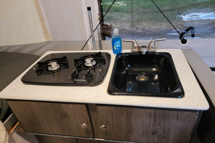 An RV rental's compact kitchen: a two-burner stove, black sink with soap, and wood-grain cabinets below.