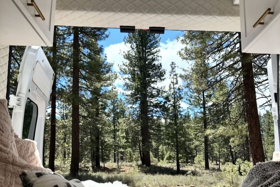 Inside an RV rental, fluffy blankets overlook a lush pine forest and dirt road from the open rear doors.