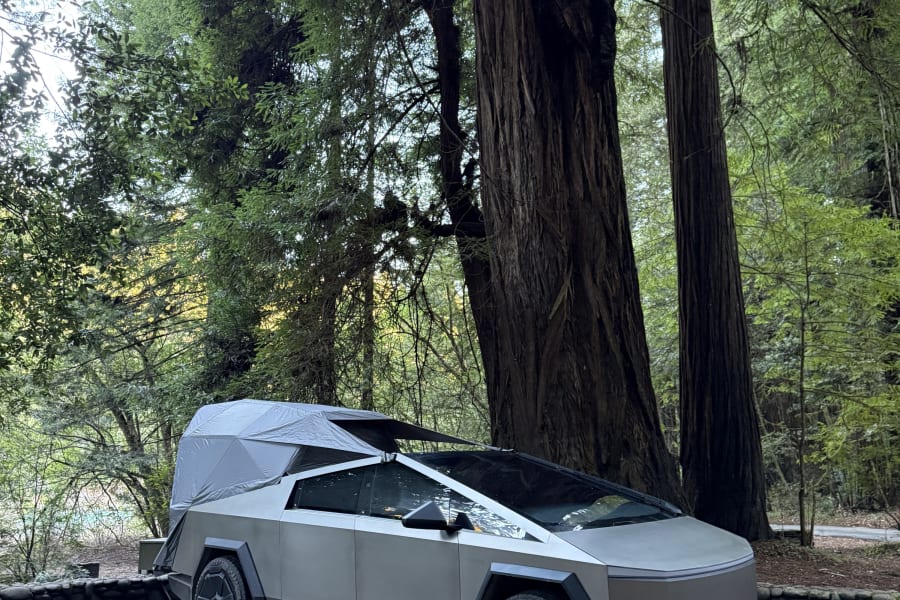 Tesla Cybertruck with a camping tent setup, ideal for an RV rental adventure among towering redwood trees.