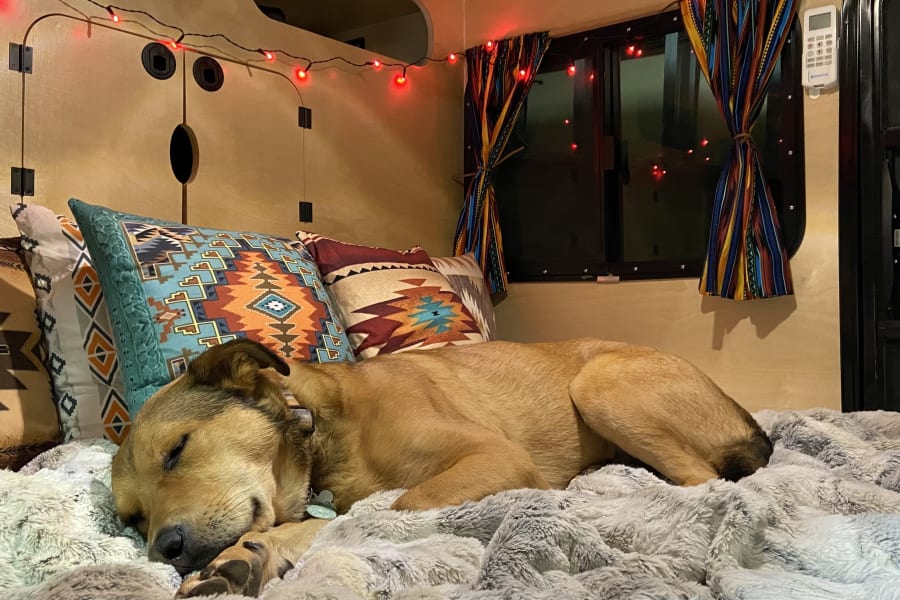 Our trailer is pet friendly because we think pets are family and they should be able to join in on the fun! 