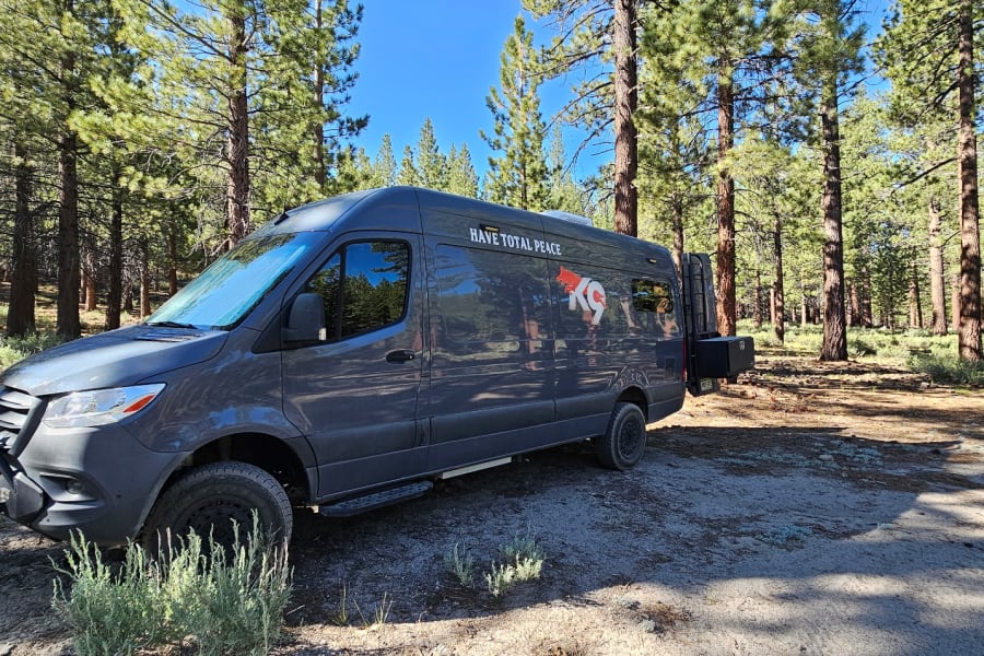 This dark grey Sprinter RV rental, with off-road features, is parked in a sunny pine forest, perfect for nature trips.