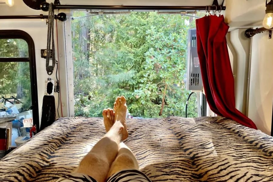 Relaxing in a cozy RV rental. Legs up on a tiger print bed with a serene forest view. Perfect for your next adventure.
