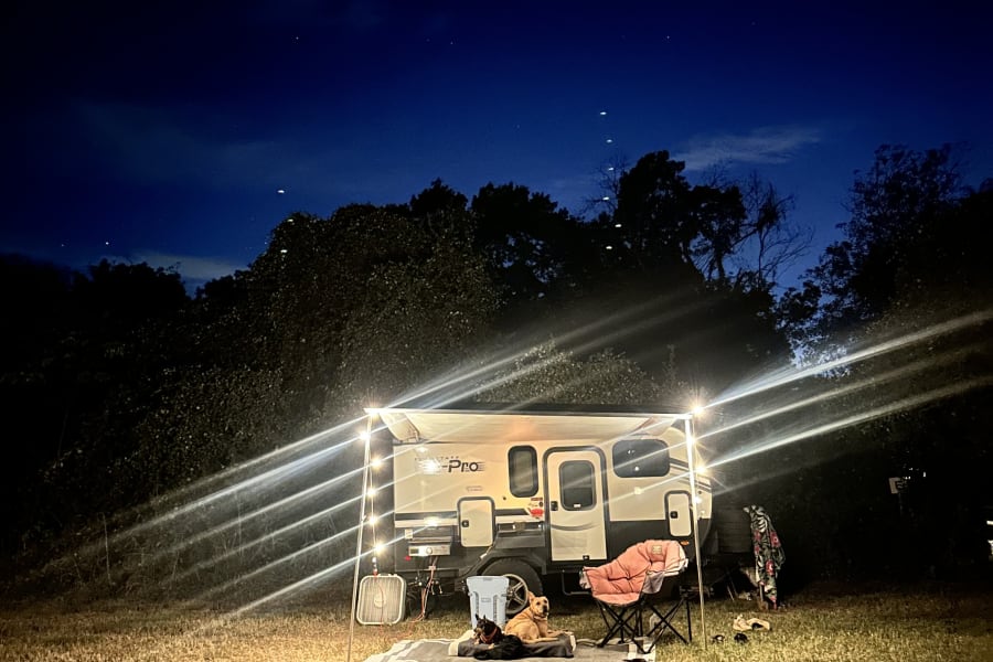 Cozy night camping in an RV rental with two dogs and string lights under a dark blue, starry sky. Relaxing outdoor setup.