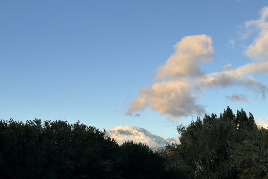 Snowy mountains peek above lush trees & palms under a clear sky; an RV rental is nestled below right.