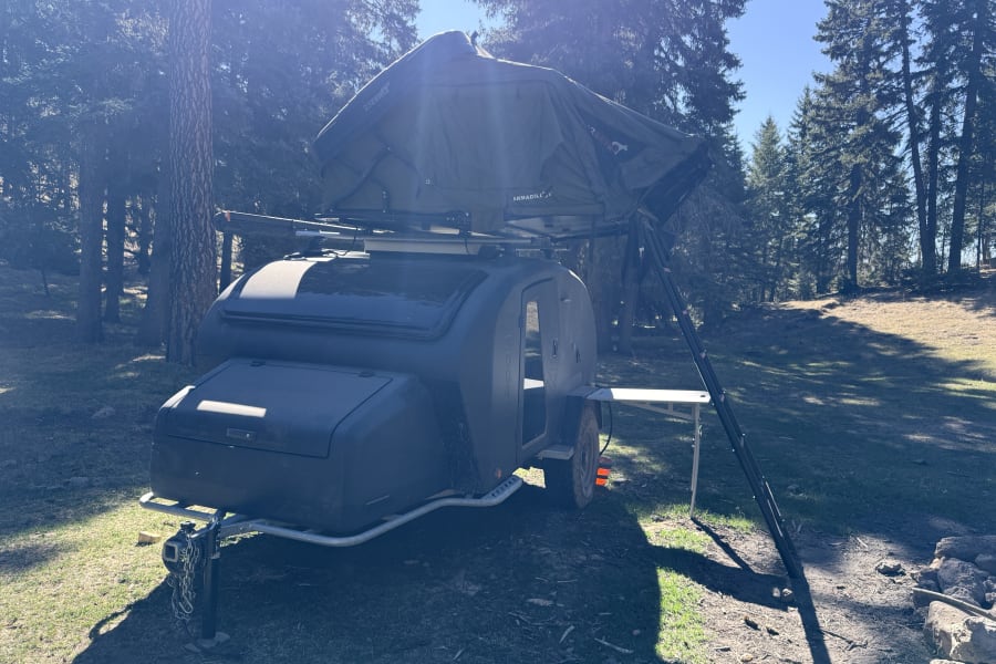 This Armadillo Pod X trailer with a 23ZERO rooftop tent, perfect for RV rental, is set in a sunny forest clearing.